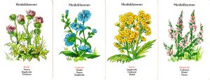 Introva Bloemen Kwartet kaarten